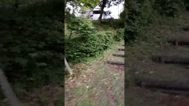 手掛の松緑地 смотреть онлайн