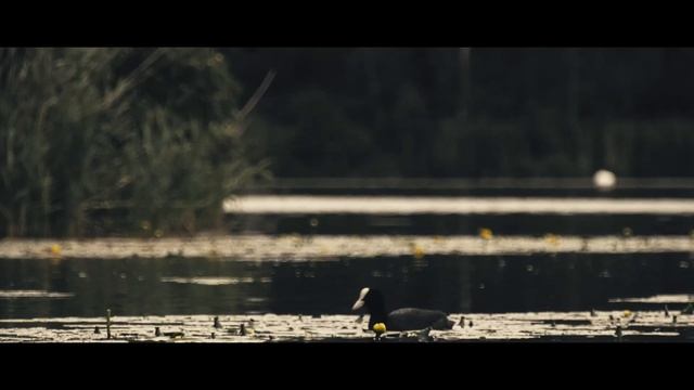 Panasonic AG-UX90 Footage + DR 14 смотреть онлайн