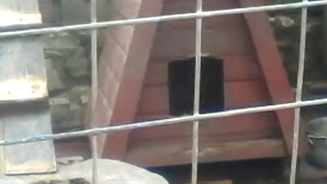 Еноты в Алексине смотреть онлайн