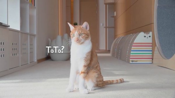 My Kittens Tried to Milk LuLu! | Kittisaurus