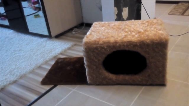 Домик для кота своими руками. Часть 1 смотреть онлайн