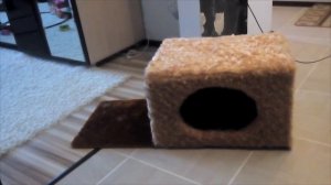 Домик для кота своими руками. Часть 1