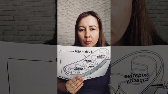 Ответы на вопросы. 12.03.2023 Домашняя Реабилитация. смотреть онлайн