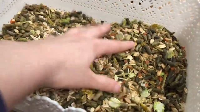 как мы смешиваем корма для белок дегу смотреть онлайн