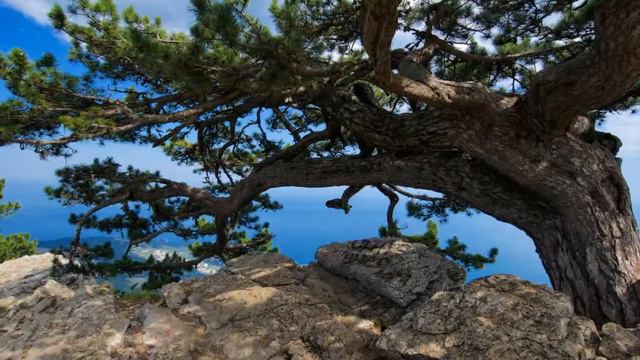 Пейзажи Крыма смотреть онлайн
