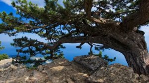 Пейзажи Крыма