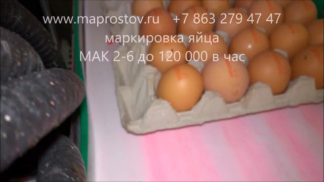 Маркировка яйца мак 2-6, оборудование для маркировки яйца смотреть онлайн