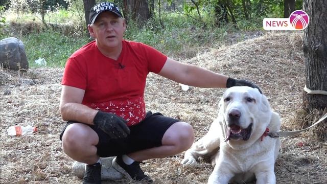 ЗАМЕТКИ КИНОЛОГА: Породные особенности смотреть онлайн