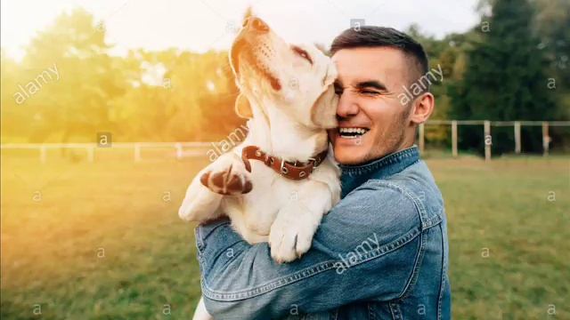 Ирина Барабаш-Провозглашаю год собак(авторская)Фото-интернет смотреть онлайн