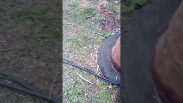 Горелка на солярке смотреть онлайн