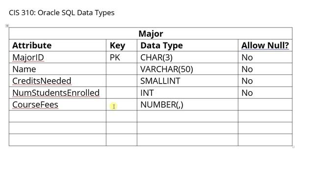 ISM 310 Oracle SQL Data Types смотреть онлайн