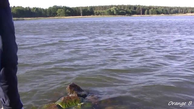 Ловля уклейки маховой удочкой в начале лета. смотреть онлайн