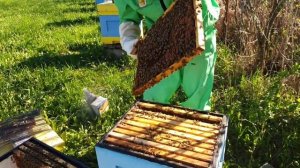 Установка вторых корпусов на улей