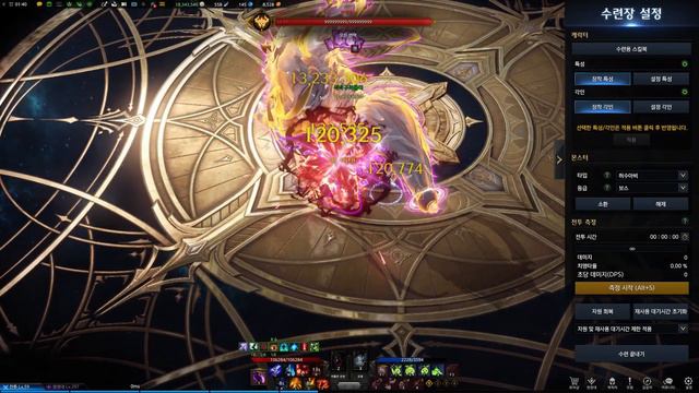 [Lost Ark] Arcanist(Arcana) Empress Rotation смотреть онлайн