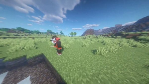 Fast обзор Not Enough Animations  (Minecraft 1.17.1)