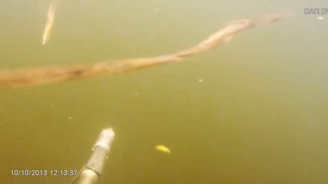 подводная охота,утка г Муром смотреть онлайн