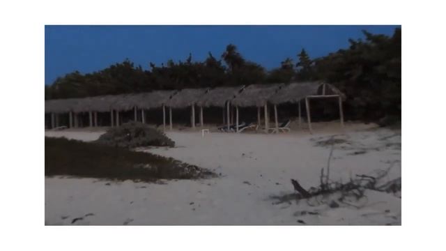BEACH REVIEW ONLY of Memories Flamenco Beach Resort #cayococo #cuba #beachlife #beachvibes смотреть онлайн