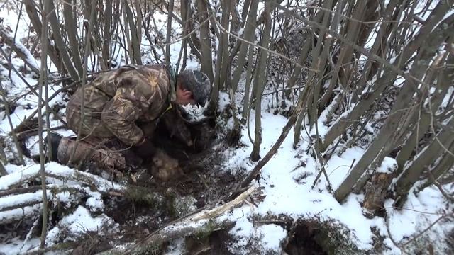 Охота с гончей в 2016г. смотреть онлайн