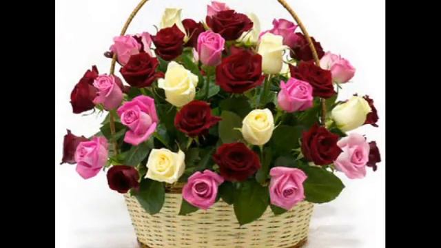 поздравления девочкам!! смотреть онлайн