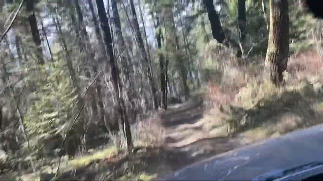 Off-Roading the 1989 Eddie Bauer Ford Bronco in Heyburn State Park Idaho смотреть онлайн
