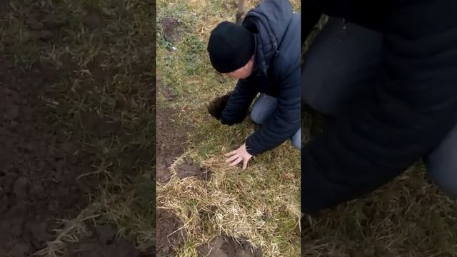 Тест Квазар арм смотреть онлайн