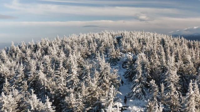 INSTA360 One x2 - RECENZJA ? смотреть онлайн