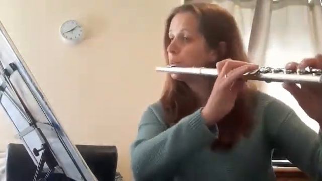 Flute - Vivace Sonata in F mvt 1 by Telemann смотреть онлайн