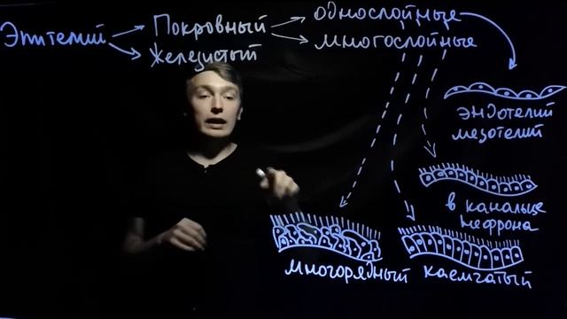 Эпителиальная ткань для ЕГЭ| Andrey Biology смотреть онлайн