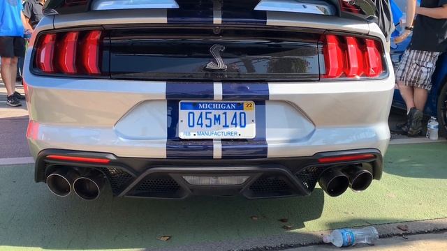 2020 Ford Mustang GT500 Start Up And Revs! (Raw Sound!) смотреть онлайн