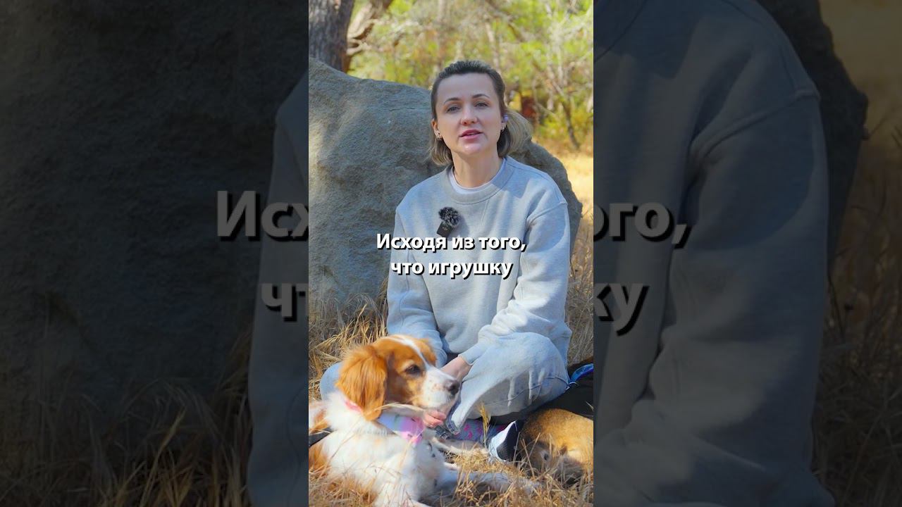 Апортировка со щенком #shorts смотреть онлайн