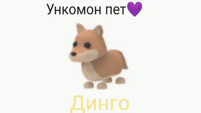 "Яйца и какие Петы с них вылупляются" (Aussie egg 🐨🥚) смотреть онлайн