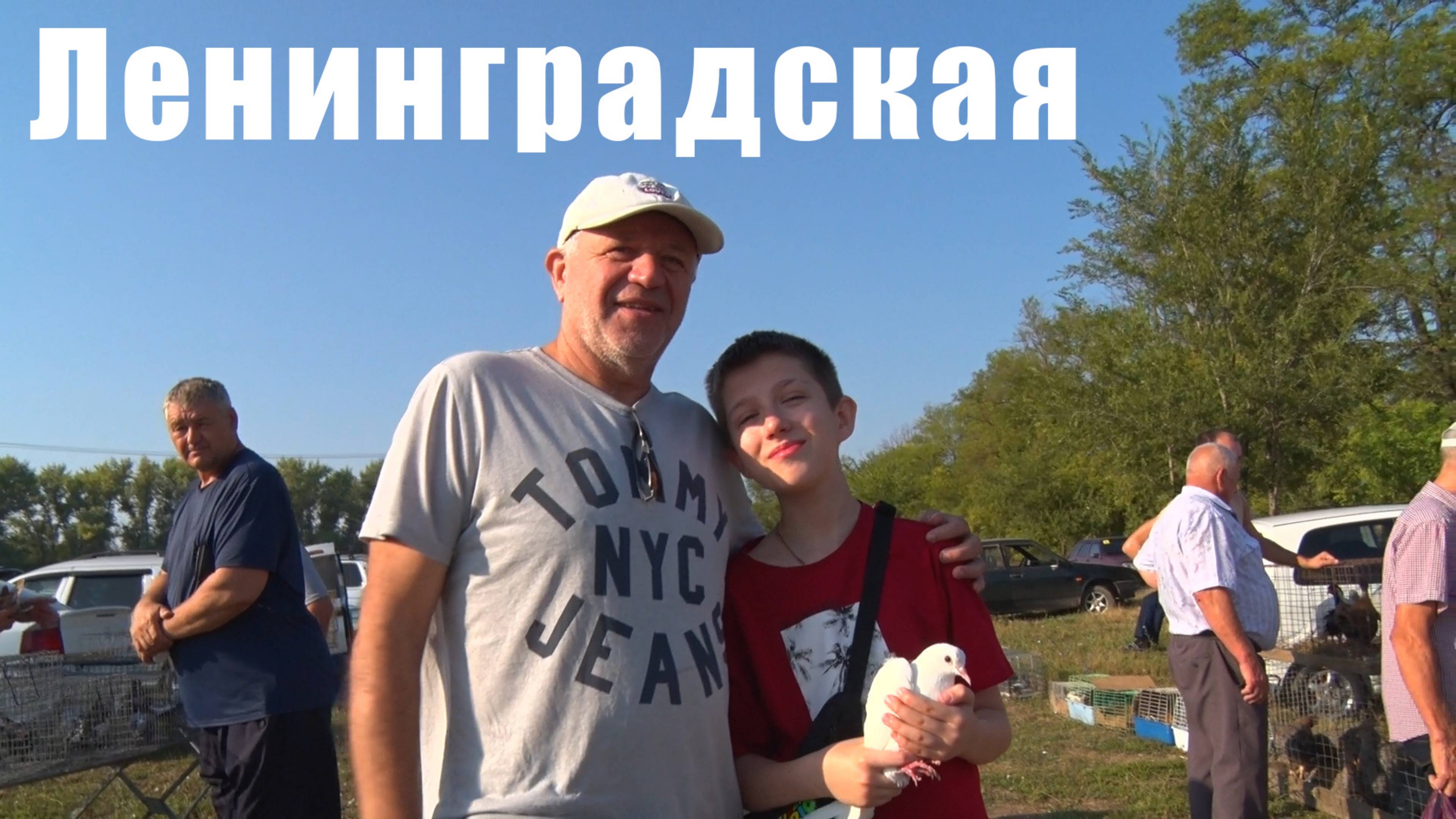 Птичий рынок. Ленинградская. [11.08.2024] смотреть онлайн