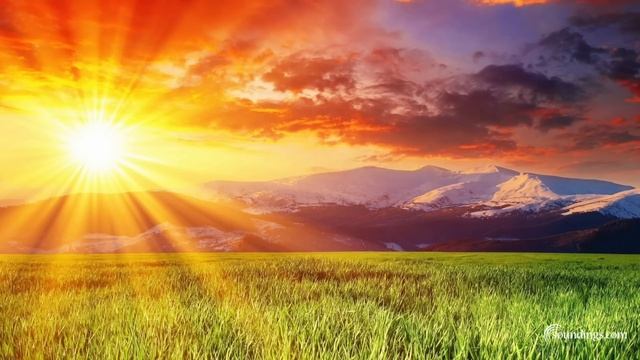 5 Minute Meditation Music - with Earth Resonance Frequency for Deeper Relaxation смотреть онлайн