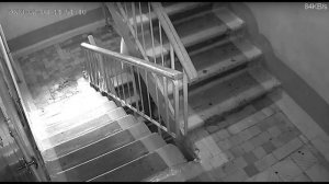 2023-02-08 Пьяный сосед нассал в подъезде и разбил бутылку