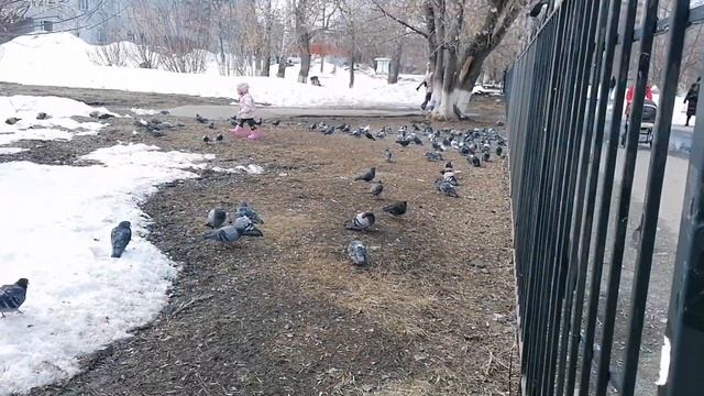 Затулинка! Мой Новосибирск 2023 г. смотреть онлайн