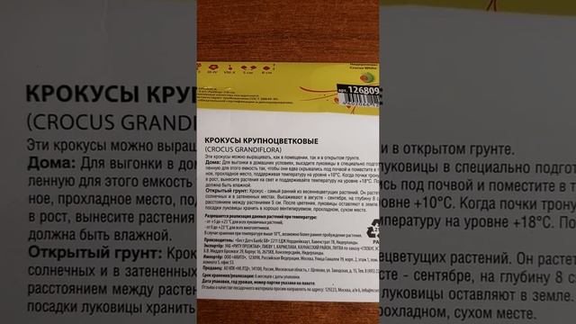 Посадка Крокусы крупноцветковые белые Crocus grandiflora 20.10.2021 смотреть онлайн