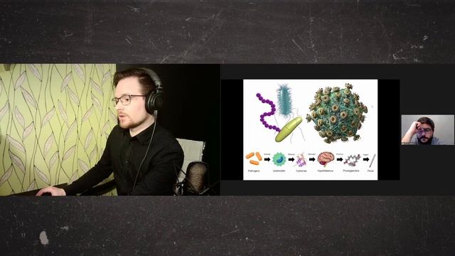 Открытый вебинар: Физиология человека — Иммунитет смотреть онлайн