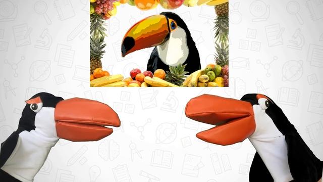 таблица умножения с Туканами в. 4 смотреть онлайн