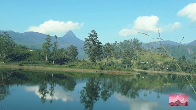 Adam's Peak. смотреть онлайн