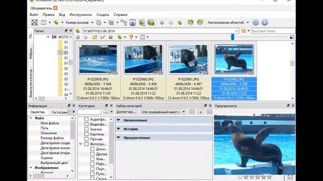 Mac .XnView MP 0 93 1