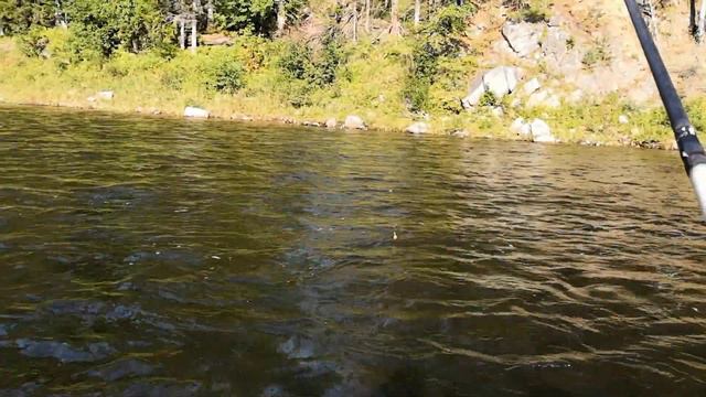 ПО РЕКАМ СИБИРИ НА БОЛОТО ХОДЕ НА РЫБАЛКУ смотреть онлайн