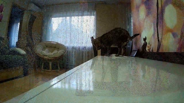 🐱 Бенгальский кот Тайсон принимает ванну  / Bengal Cat Tyson Takes A Shower