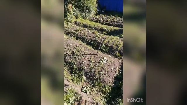 Пугало в огород смотреть онлайн