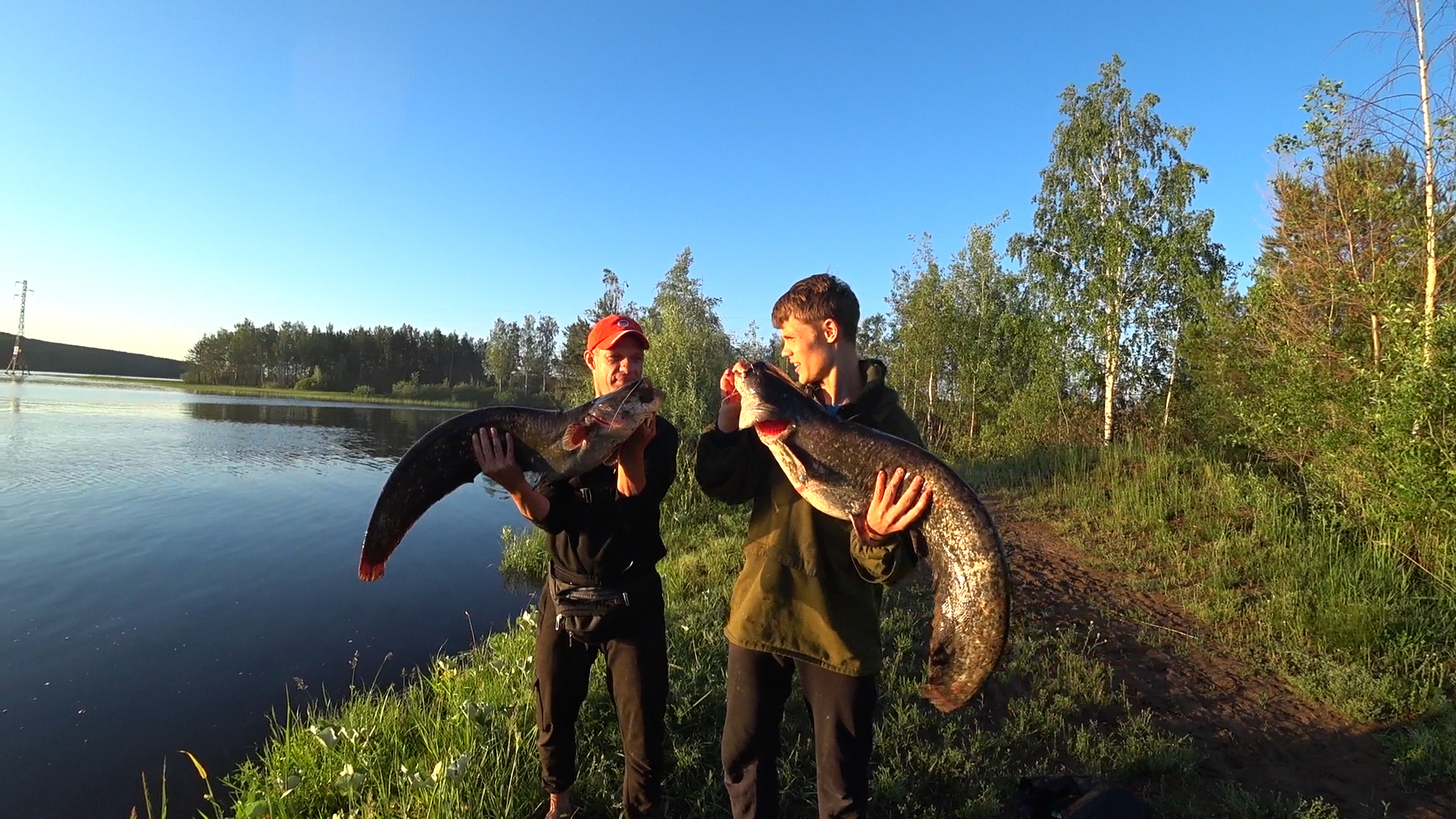 КАЙФАНУЛИ ОТ СОМИКОВ! АДРЕНАЛИНОВАЯ РЫБАЛКА НА СОМА С БЕРЕГА! Тестирование нового перемета смотреть онлайн