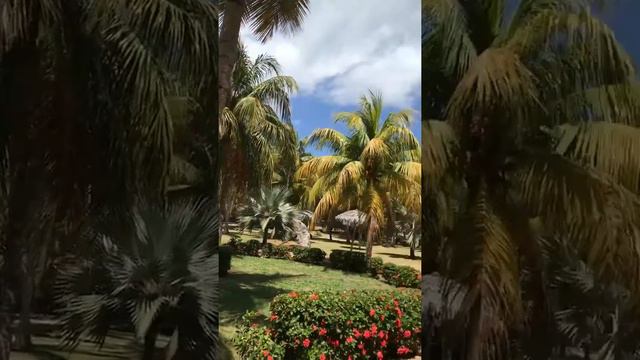 Cuba смотреть онлайн