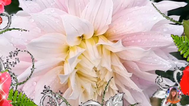 После дождя.