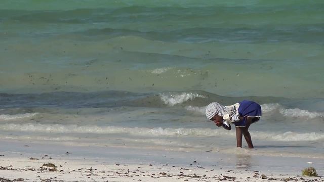 Занзибар 4K. Что ждет туристов и как живут местные. Отдых в Африке смотреть онлайн