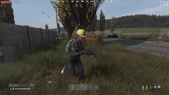 DAYZ SPEEDRUN смотреть онлайн