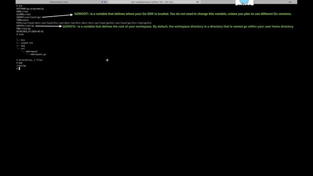 Simple go script to issue http get request(net/http). Install GO & set workspace, GOPATH and GOROOT смотреть онлайн