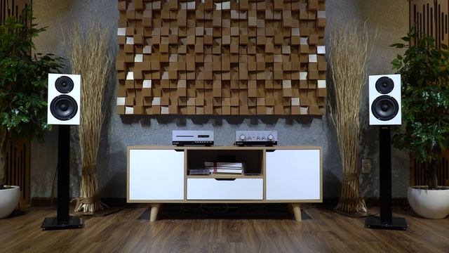 Gặp nhau làm chi - Trường Vũ - Wharfedale Diamond 12 2 , Leak CDT& Leak Stereo130 смотреть онлайн
